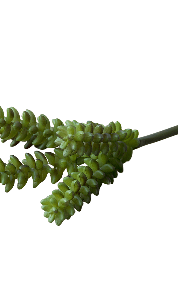 Succulents Fake Faux Lifelike Decorative Things - Chive Ceramics Studio - Tools & Accessories - Chive US