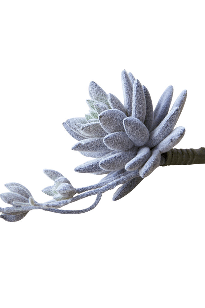 Succulents Fake Faux Lifelike Decorative Things - Chive Ceramics Studio - Tools & Accessories - Chive US