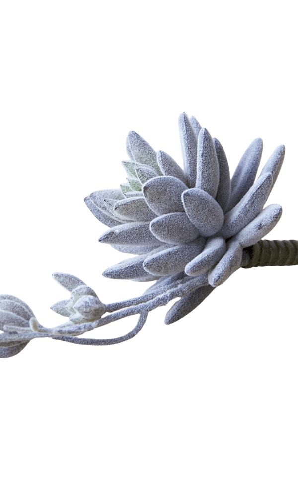 Succulents Fake Faux Lifelike Decorative Things - Chive Ceramics Studio - Tools & Accessories - Chive US