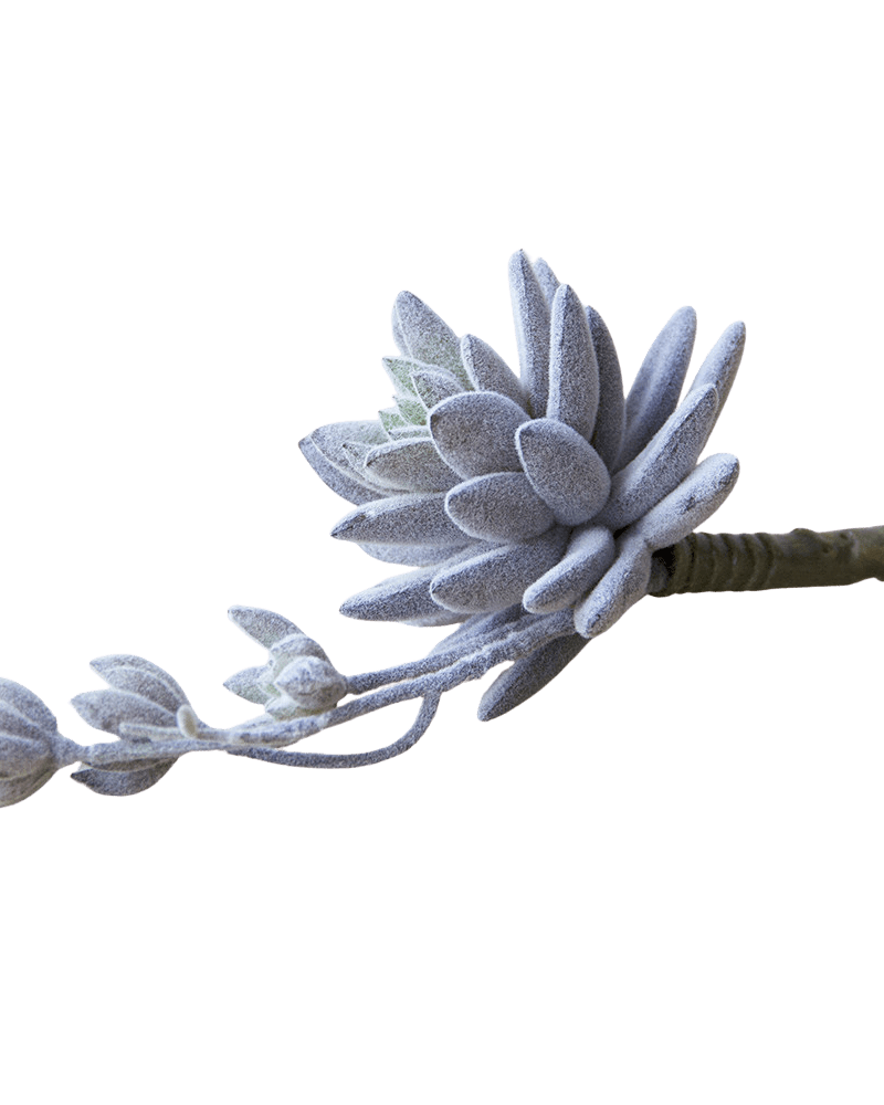 Succulents Fake Faux Lifelike Decorative Things - Chive Ceramics Studio - Tools & Accessories - Chive US