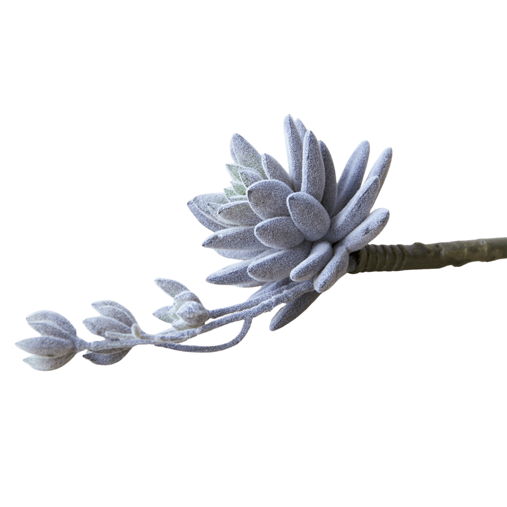 Succulents Fake Faux Lifelike Decorative Things - Chive Ceramics Studio - Tools & Accessories - Chive US