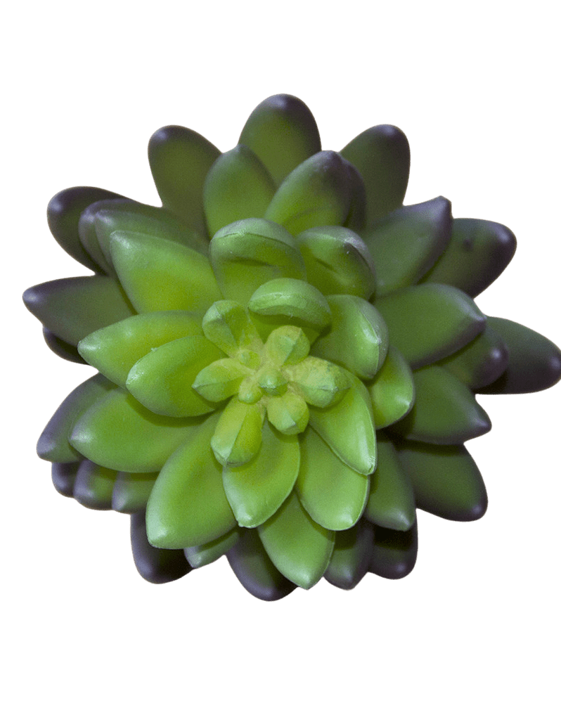 Succulents Fake Faux Lifelike Decorative Things - Chive Ceramics Studio - Tools & Accessories - Chive US