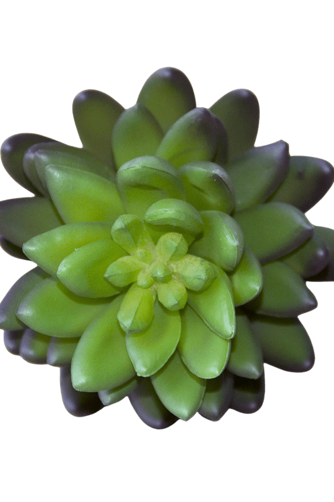 Succulents Fake Faux Lifelike Decorative Things - Chive Ceramics Studio - Tools & Accessories - Chive US