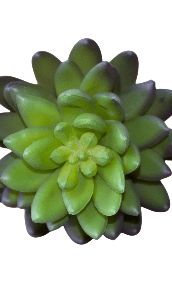 Succulents Fake Faux Lifelike Decorative Things - Chive Ceramics Studio - Tools & Accessories - Chive US