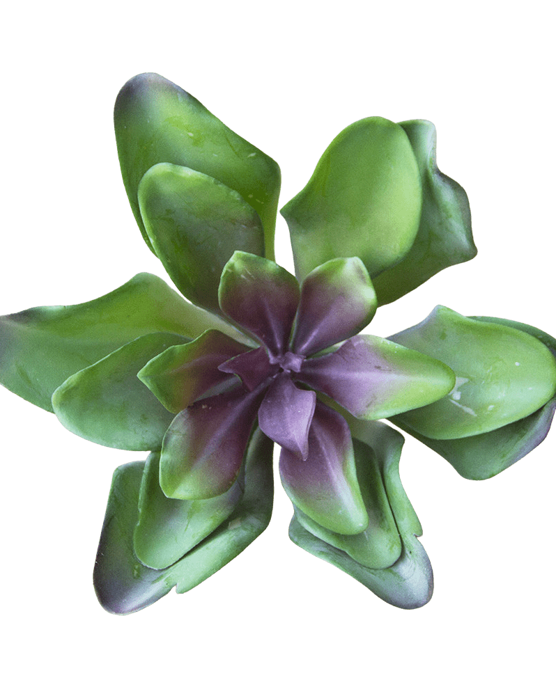 Succulents Fake Faux Lifelike Decorative Things - Chive Ceramics Studio - Tools & Accessories - Chive US