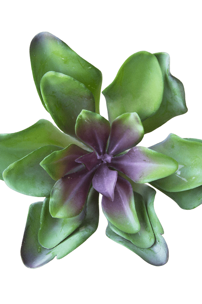 Succulents Fake Faux Lifelike Decorative Things - Chive Ceramics Studio - Tools & Accessories - Chive US
