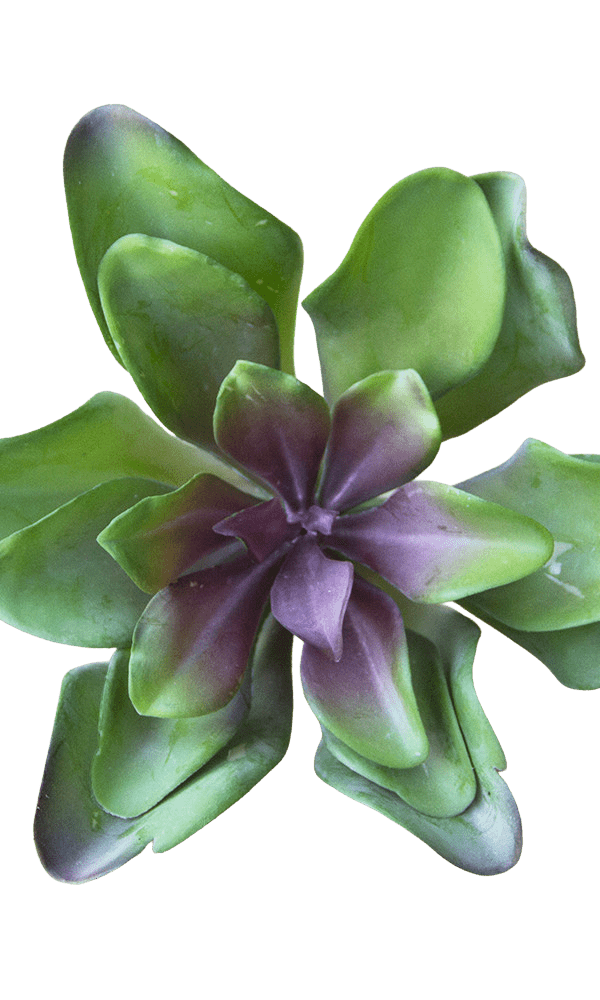 Succulents Fake Faux Lifelike Decorative Things - Chive Ceramics Studio - Tools & Accessories - Chive US