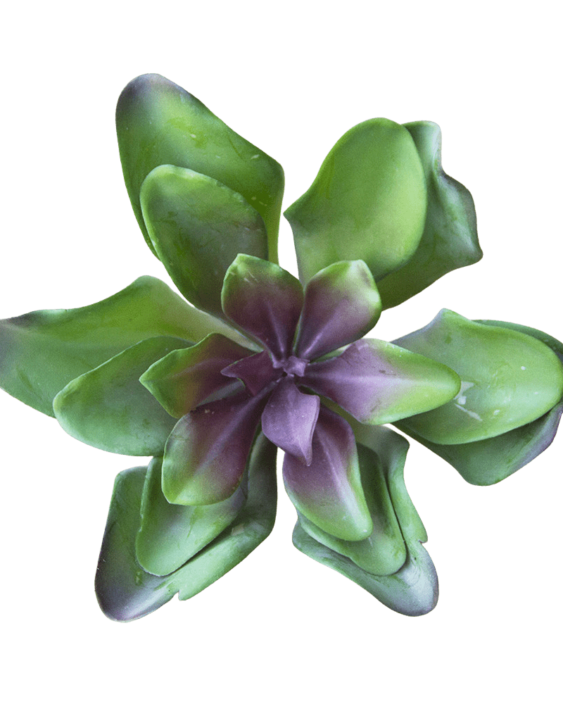 Succulents Fake Faux Lifelike Decorative Things - Chive Ceramics Studio - Tools & Accessories - Chive US