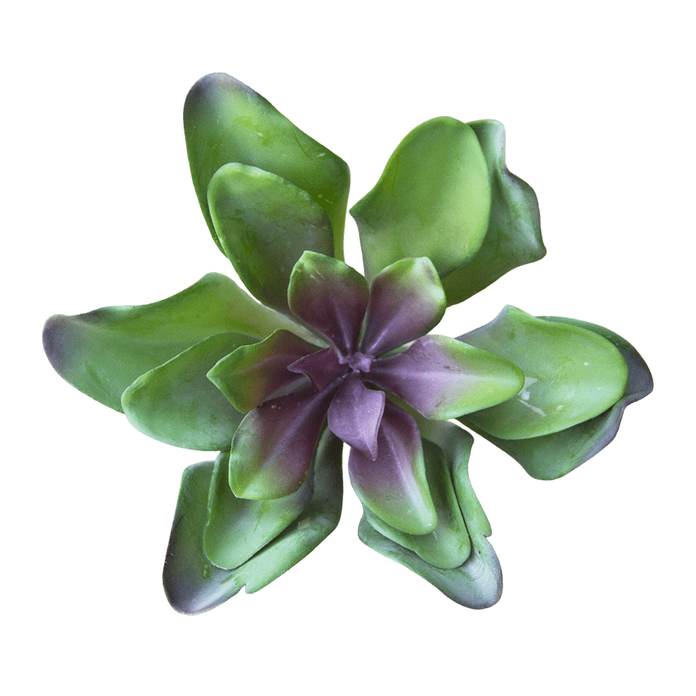 Succulents Fake Faux Lifelike Decorative Things - Chive Ceramics Studio - Tools & Accessories - Chive US