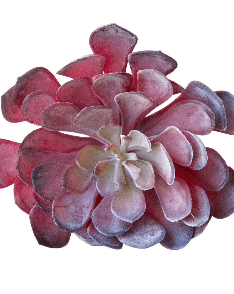 Succulents Fake Faux Lifelike Decorative Things - Chive Ceramics Studio - Tools & Accessories - Chive US