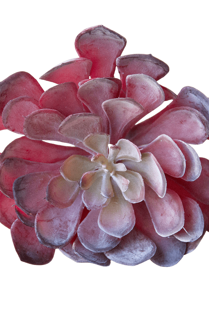 Succulents Fake Faux Lifelike Decorative Things - Chive Ceramics Studio - Tools & Accessories - Chive US