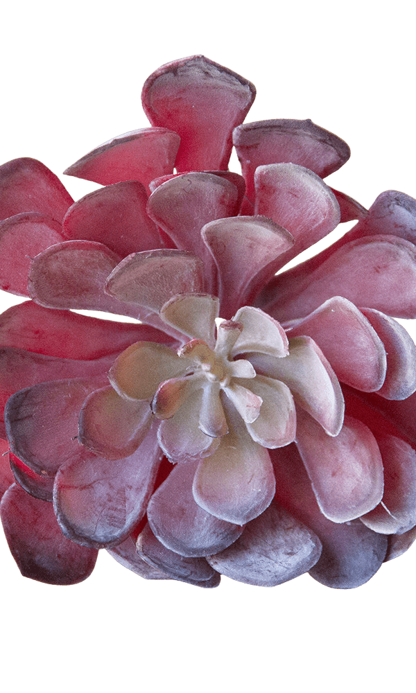 Succulents Fake Faux Lifelike Decorative Things - Chive Ceramics Studio - Tools & Accessories - Chive US