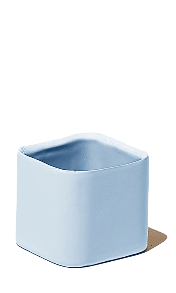 Svek Ceramic Indoor Succulent Pot - Chive Ceramics Studio - Pots - Chive Ceramics Studio