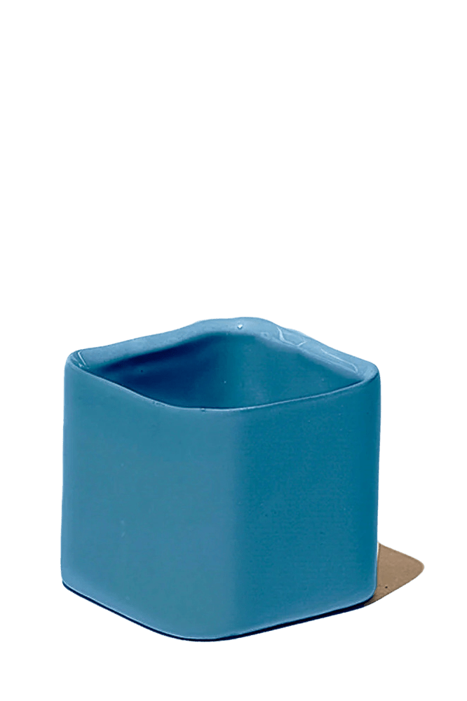 Svek Ceramic Indoor Succulent Pot - Chive Ceramics Studio - Pots - Chive Ceramics Studio