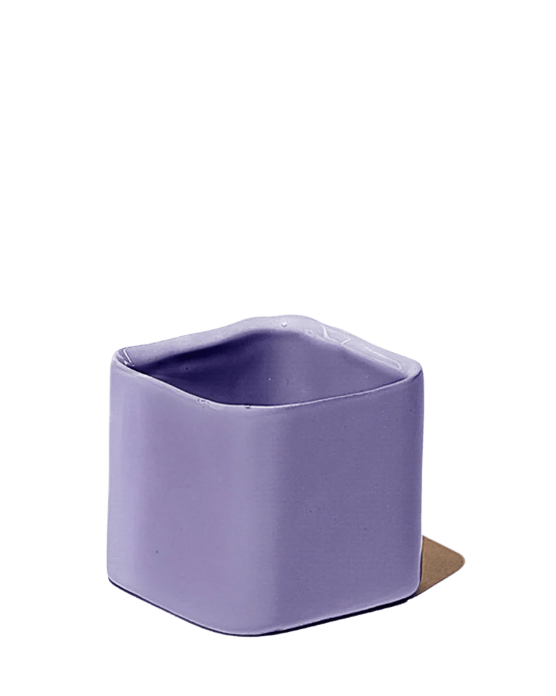 Svek Ceramic Indoor Succulent Pot - Chive Ceramics Studio - Pots - Chive Ceramics Studio