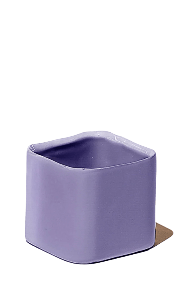 Svek Ceramic Indoor Succulent Pot - Chive Ceramics Studio - Pots - Chive Ceramics Studio