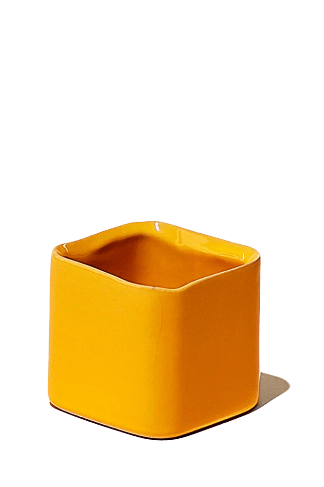 Svek Ceramic Indoor Succulent Pot - Chive Ceramics Studio - Pots - Chive Ceramics Studio