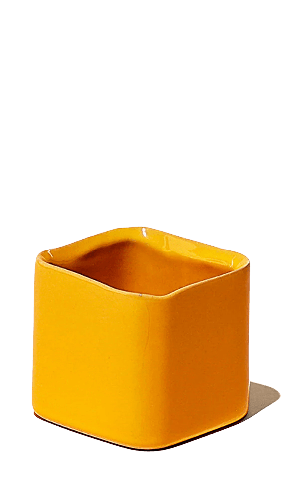 Svek Ceramic Indoor Succulent Pot - Chive Ceramics Studio - Pots - Chive Ceramics Studio