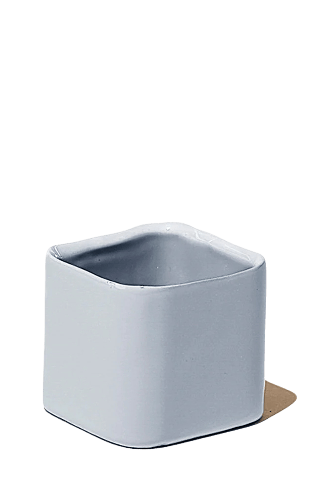 Svek Ceramic Indoor Succulent Pot - Chive Ceramics Studio - Pots - Chive Ceramics Studio