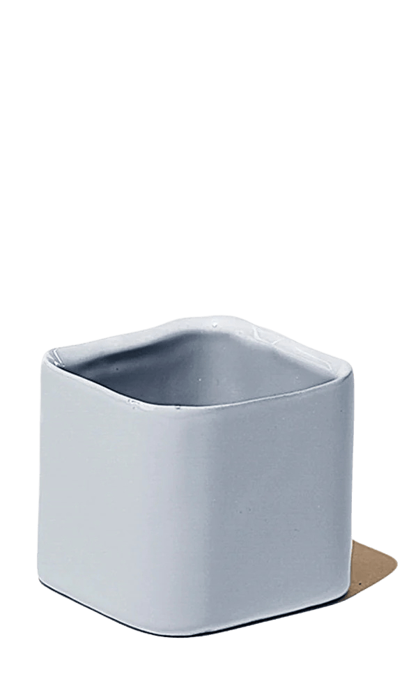 Svek Ceramic Indoor Succulent Pot - Chive Ceramics Studio - Pots - Chive Ceramics Studio