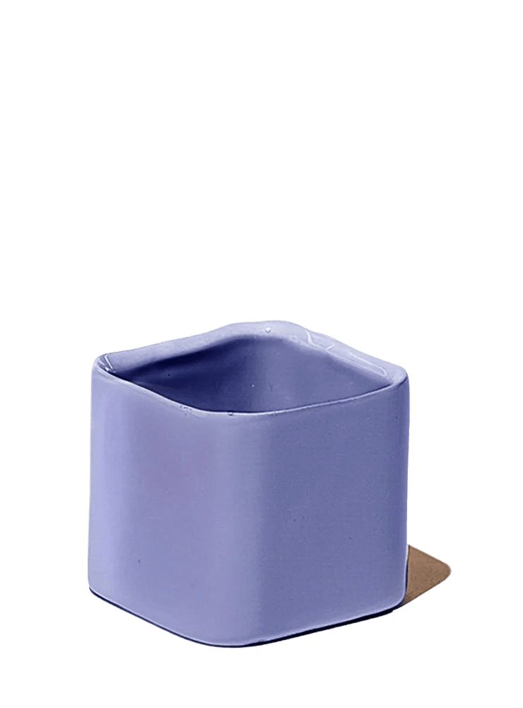 Svek Ceramic Indoor Succulent Pot - Chive Ceramics Studio - Pots - Chive Ceramics Studio