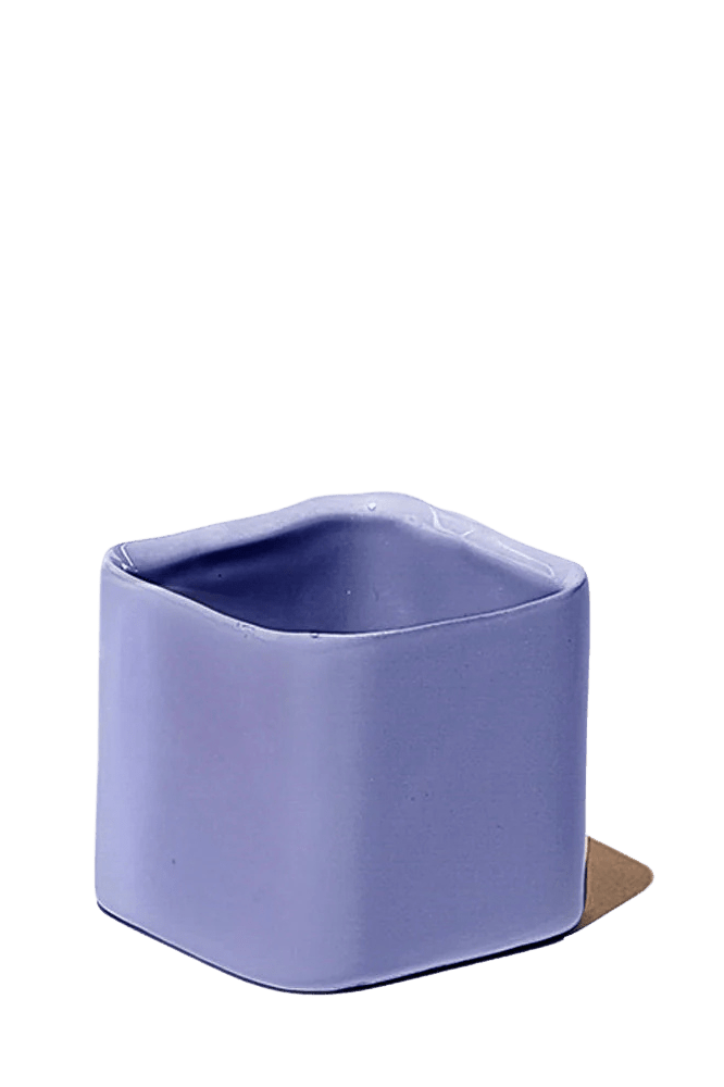 Svek Ceramic Indoor Succulent Pot - Chive Ceramics Studio - Pots - Chive Ceramics Studio