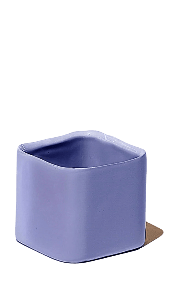 Svek Ceramic Indoor Succulent Pot - Chive Ceramics Studio - Pots - Chive Ceramics Studio