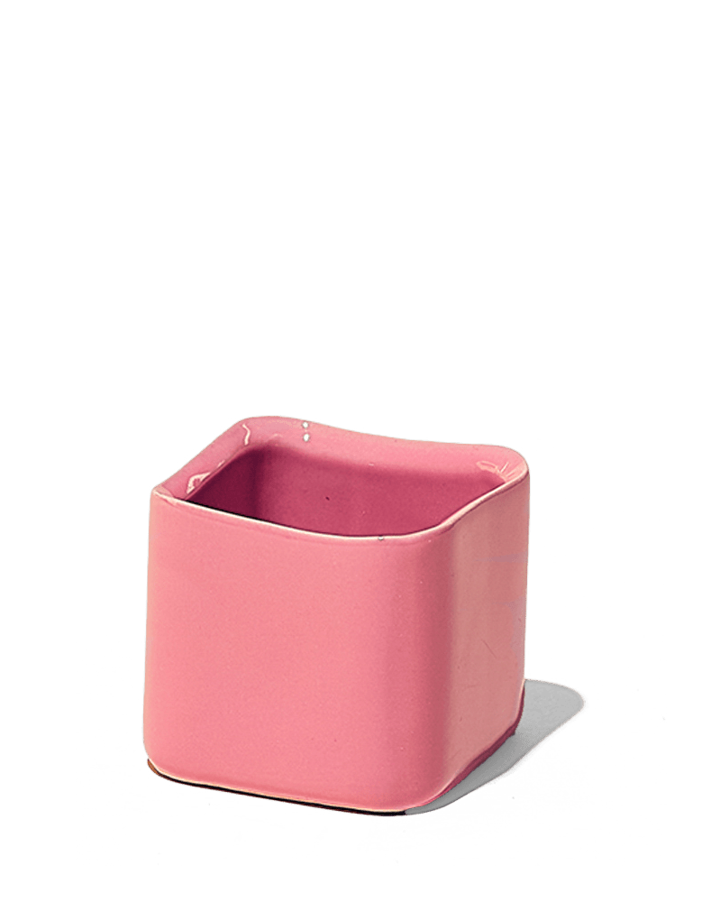 Svek Ceramic Indoor Succulent Pot - Chive Ceramics Studio - Pots - Chive Ceramics Studio