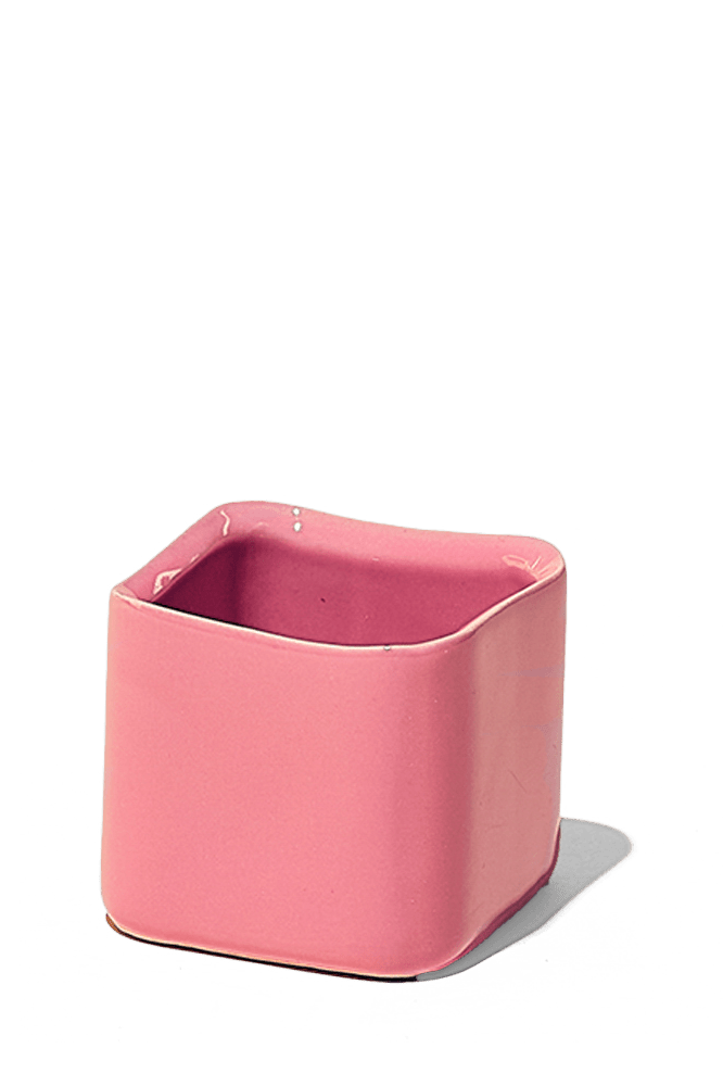 Svek Ceramic Indoor Succulent Pot - Chive Ceramics Studio - Pots - Chive Ceramics Studio