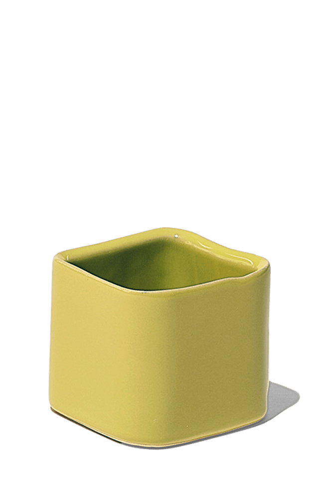 Svek Ceramic Indoor Succulent Pot - Chive Ceramics Studio - Pots - Chive Ceramics Studio