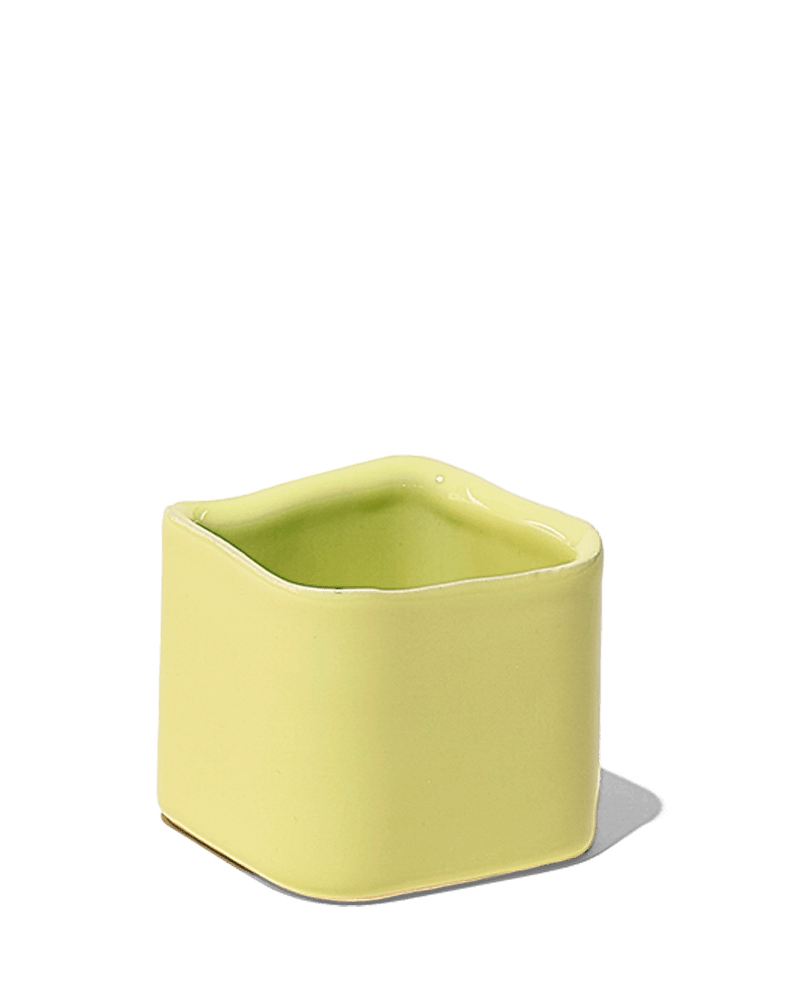 Svek Ceramic Indoor Succulent Pot - Chive Ceramics Studio - Pots - Chive Ceramics Studio