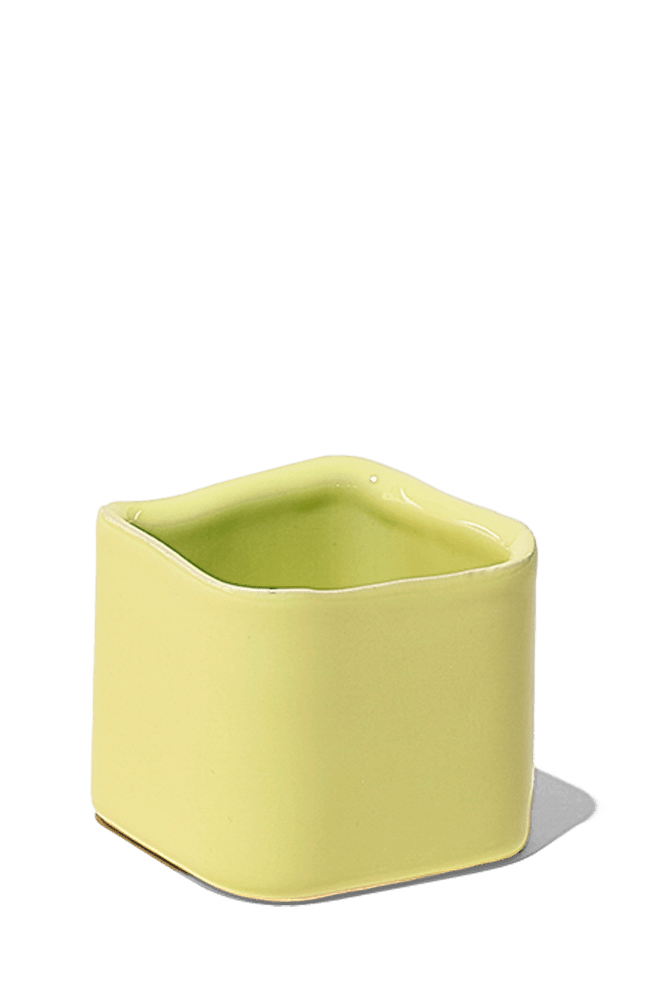 Svek Ceramic Indoor Succulent Pot - Chive Ceramics Studio - Pots - Chive Ceramics Studio