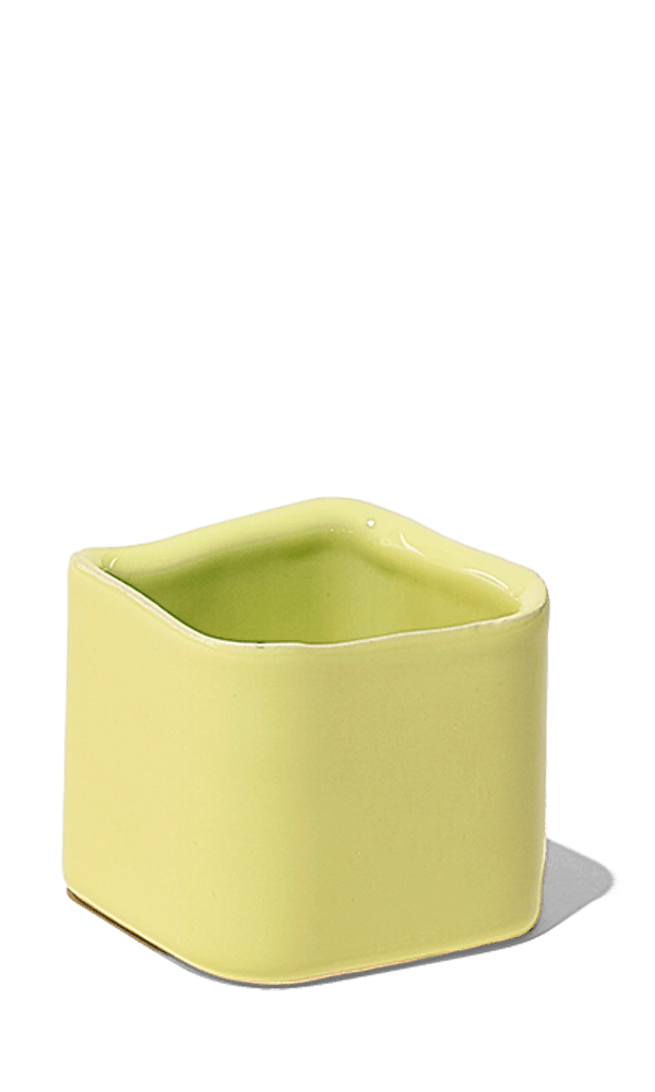 Svek Ceramic Indoor Succulent Pot - Chive Ceramics Studio - Pots - Chive Ceramics Studio