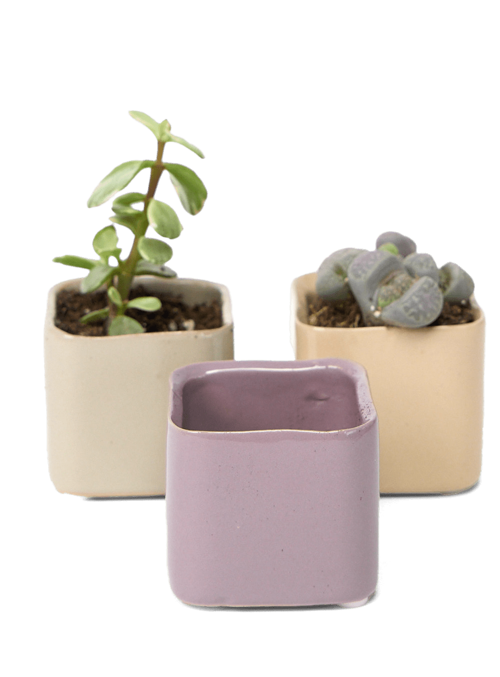 Svek Ceramic Indoor Succulent Pot - Chive Ceramics Studio - Pots - Chive Ceramics Studio