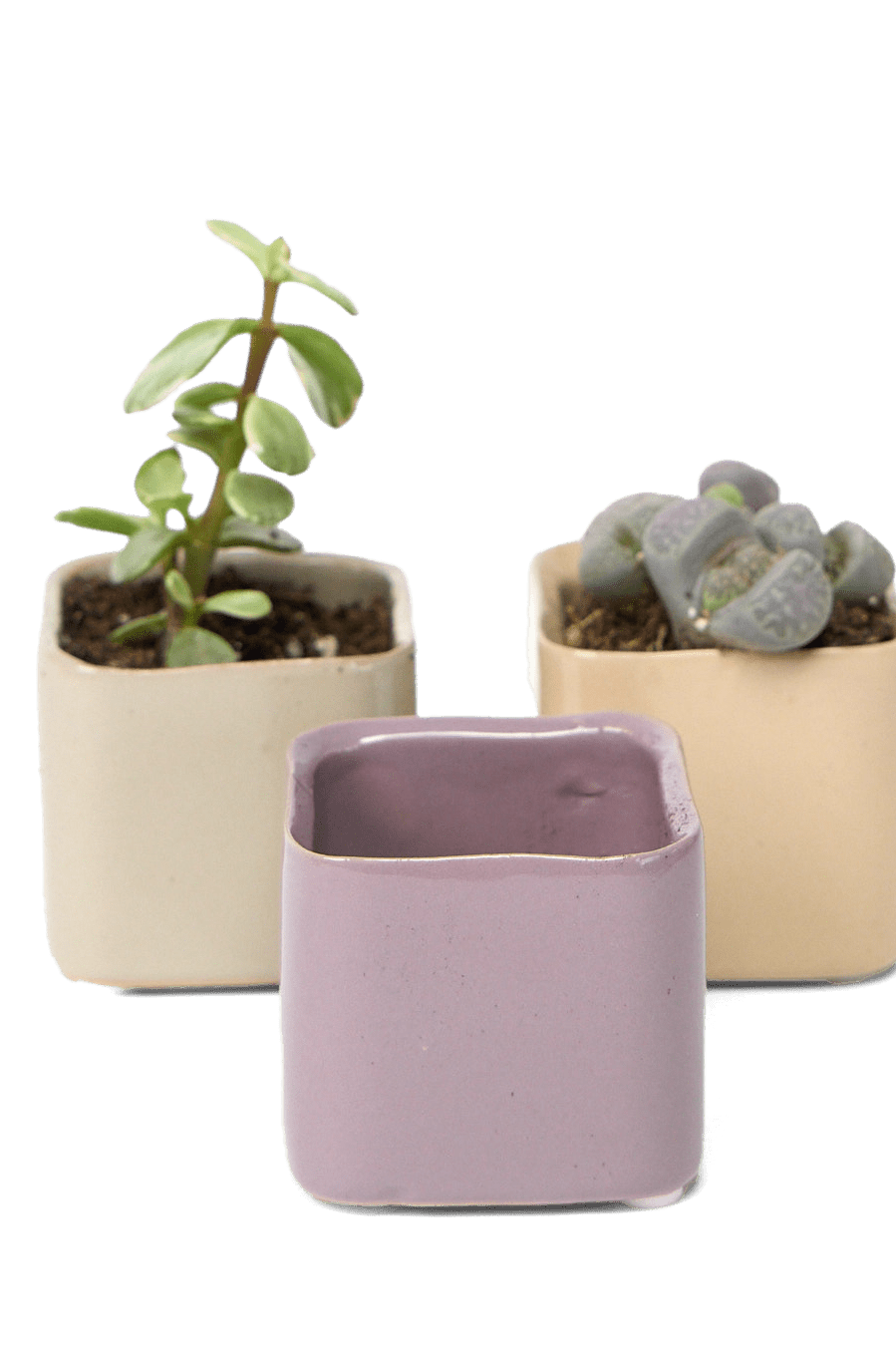 Svek Ceramic Indoor Succulent Pot - Chive Ceramics Studio - Pots - Chive Ceramics Studio