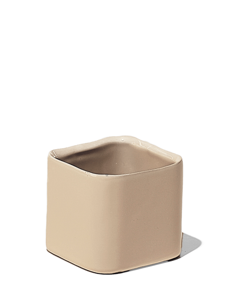 Svek Ceramic Indoor Succulent Pot - Chive Ceramics Studio - Pots - Chive Ceramics Studio