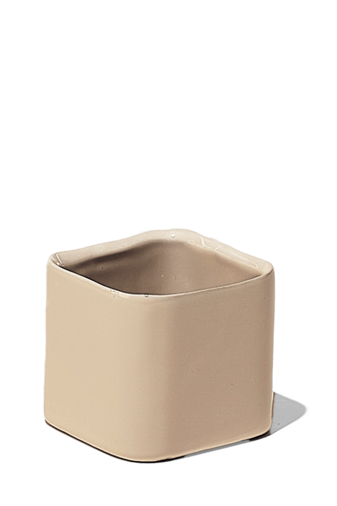 Svek Ceramic Indoor Succulent Pot - Chive Ceramics Studio - Pots - Chive Ceramics Studio