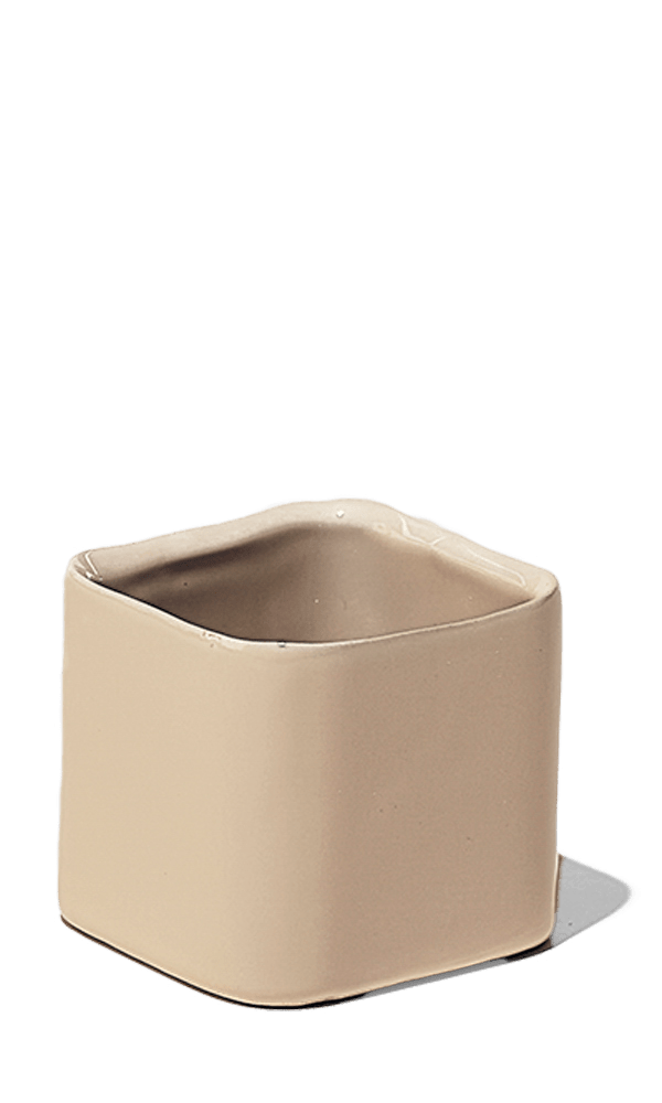 Svek Ceramic Indoor Succulent Pot - Chive Ceramics Studio - Pots - Chive Ceramics Studio