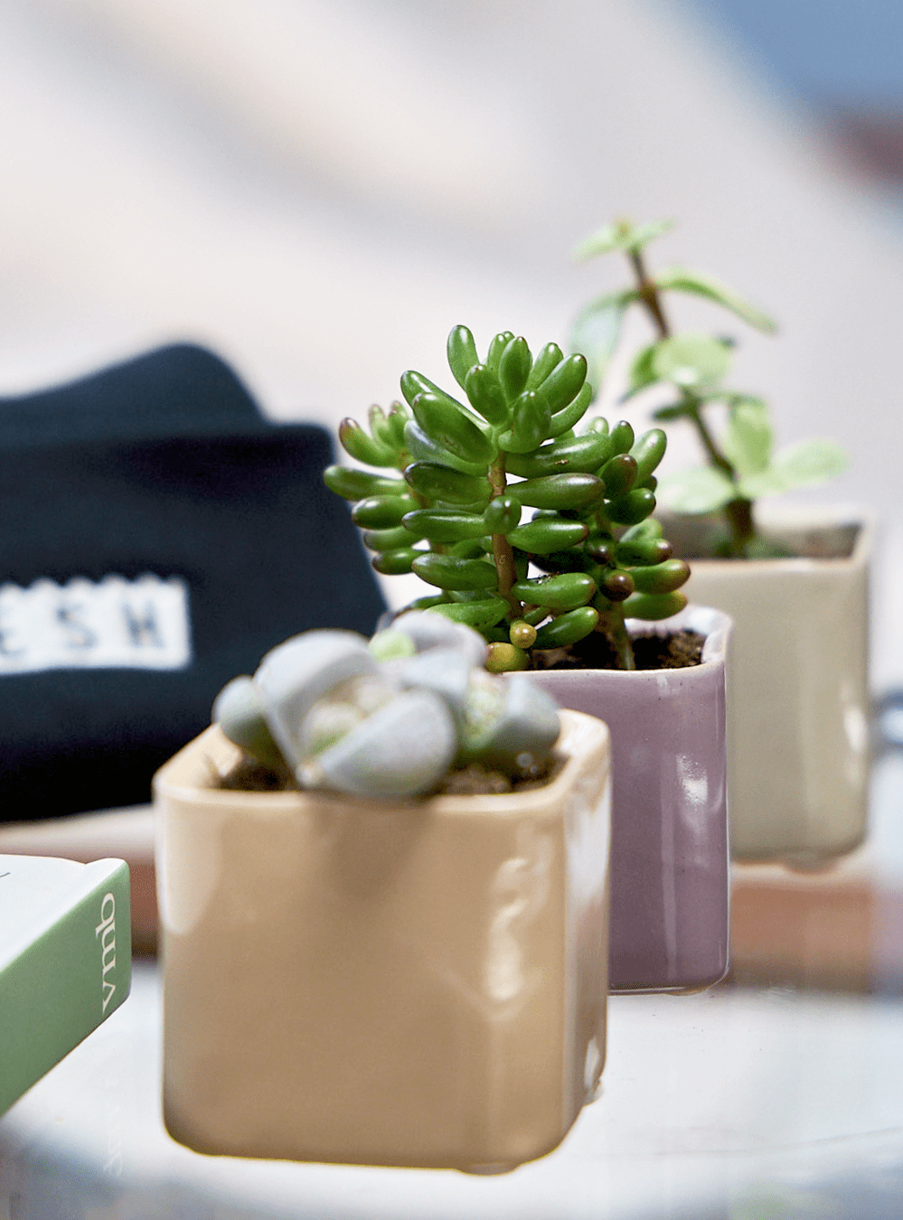 Svek Ceramic Indoor Succulent Pot - Chive Ceramics Studio - Pots - Chive Ceramics Studio