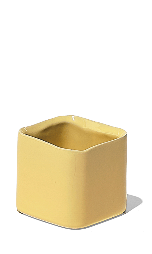 Svek Ceramic Indoor Succulent Pot - Chive Ceramics Studio - Pots - Chive Ceramics Studio