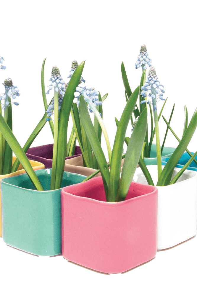 Svek Ceramic Indoor Succulent Pot - Chive Ceramics Studio - Pots - Chive Ceramics Studio