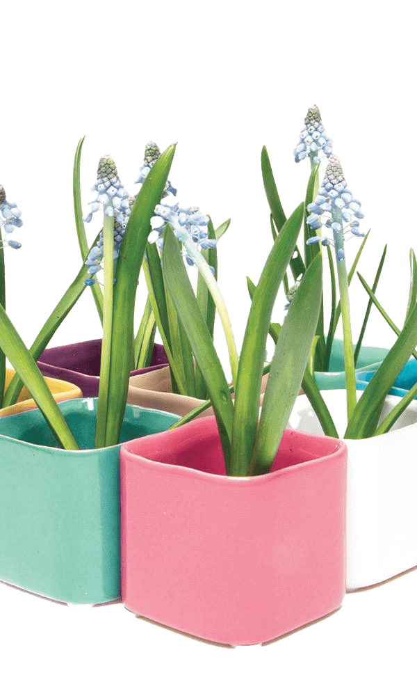 Svek Ceramic Indoor Succulent Pot - Chive Ceramics Studio - Pots - Chive Ceramics Studio