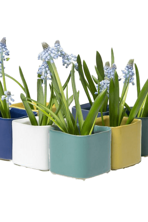 Svek Ceramic Indoor Succulent Pot - Chive Ceramics Studio - Pots - Chive Ceramics Studio