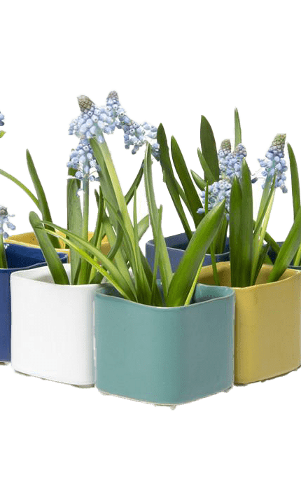 Svek Ceramic Indoor Succulent Pot - Chive Ceramics Studio - Pots - Chive Ceramics Studio
