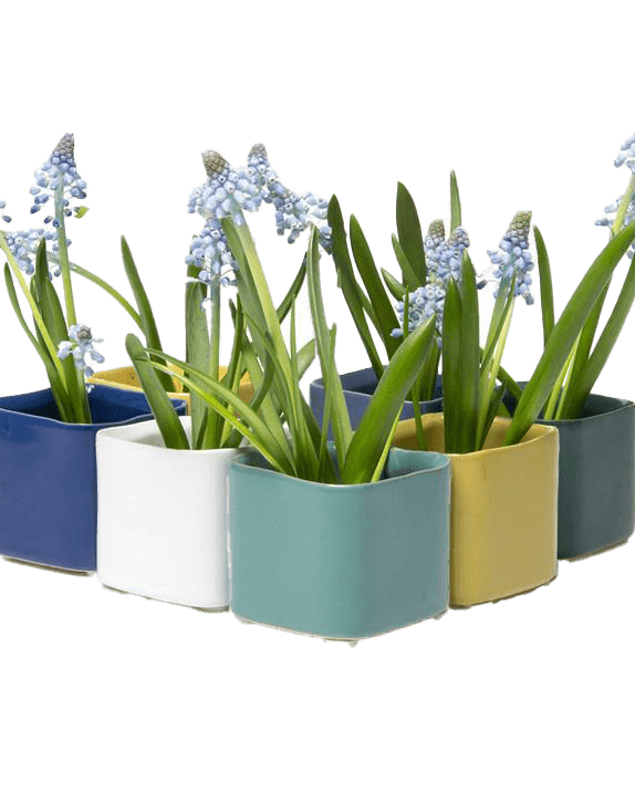 Svek Ceramic Indoor Succulent Pot - Chive Ceramics Studio - Pots - Chive Ceramics Studio