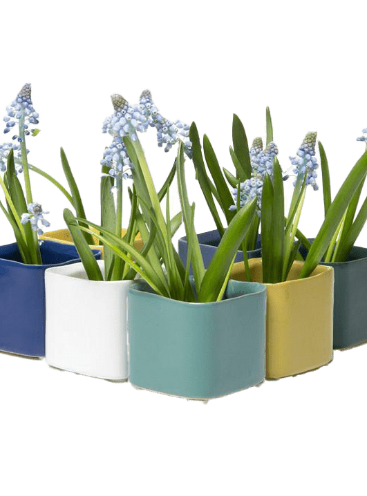 Svek Ceramic Indoor Succulent Pot - Chive Ceramics Studio - Pots - Chive Ceramics Studio