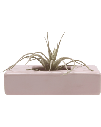Swayzak Ceramic Dish For Ikebana Kenzans - Chive Ceramics Studio - Tools & Accessories - Chive US