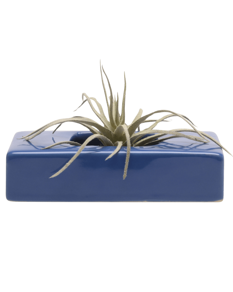 Swayzak Ceramic Dish For Ikebana Kenzans - Chive Ceramics Studio - Tools & Accessories - Chive US