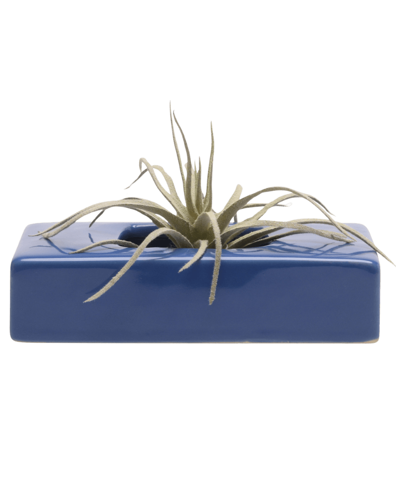 Swayzak Ceramic Dish For Ikebana Kenzans - Chive Ceramics Studio - Tools & Accessories - Chive US