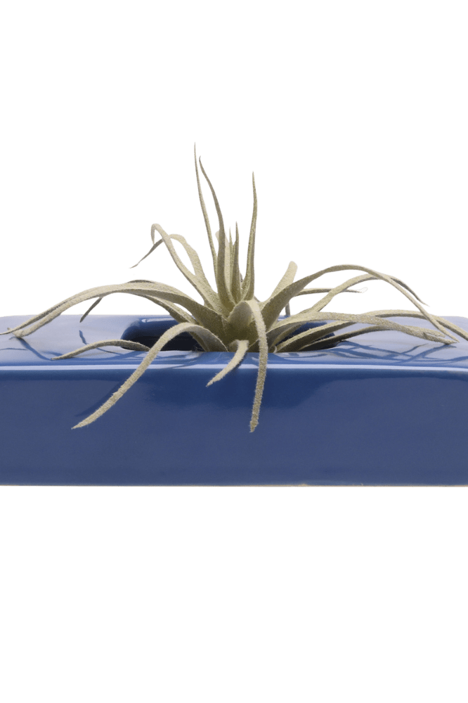 Swayzak Ceramic Dish For Ikebana Kenzans - Chive Ceramics Studio - Tools & Accessories - Chive US